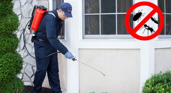Haymana Böcek ve Haşere İlaçlama böcek ilaçlama ve haşere kontrolü — ilaclama-tr.com